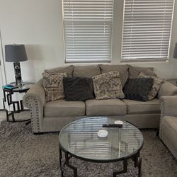 Couch And Loveseat With Pillows