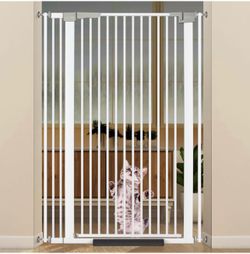 Cat gate