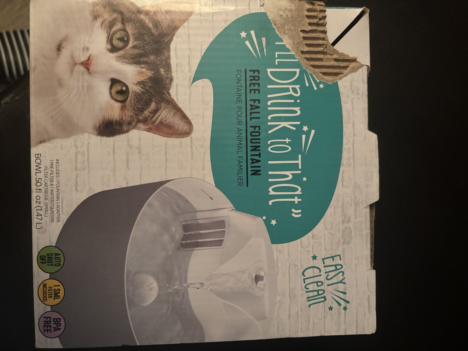 Kitty Fountain