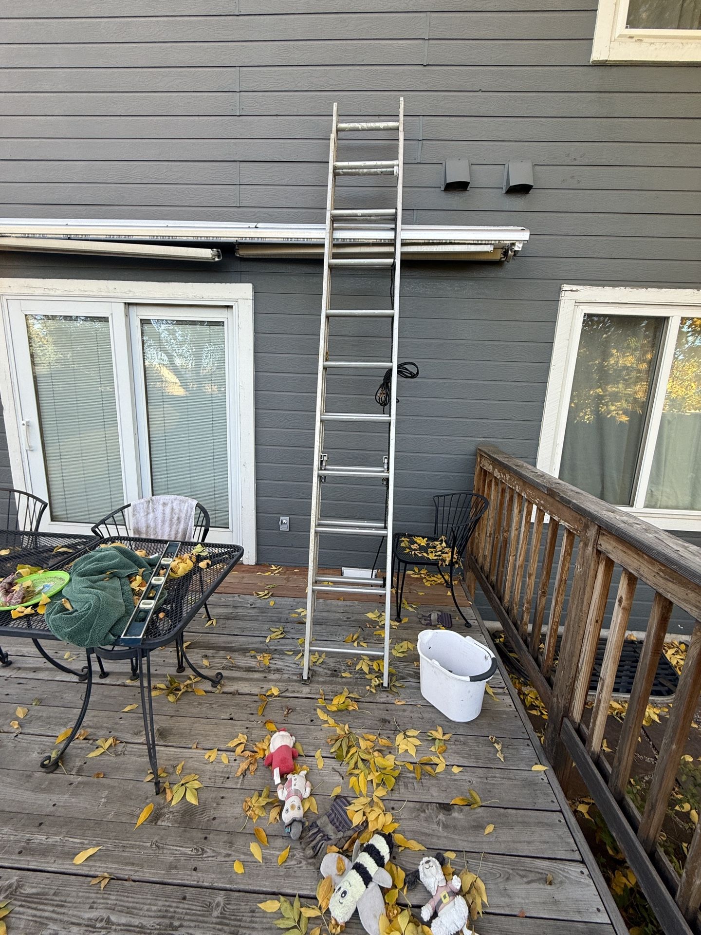 20 foot Ladder