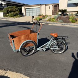 Virtue Schoolbus+ Electric Cargo Bike | Kid Carrier | 500W