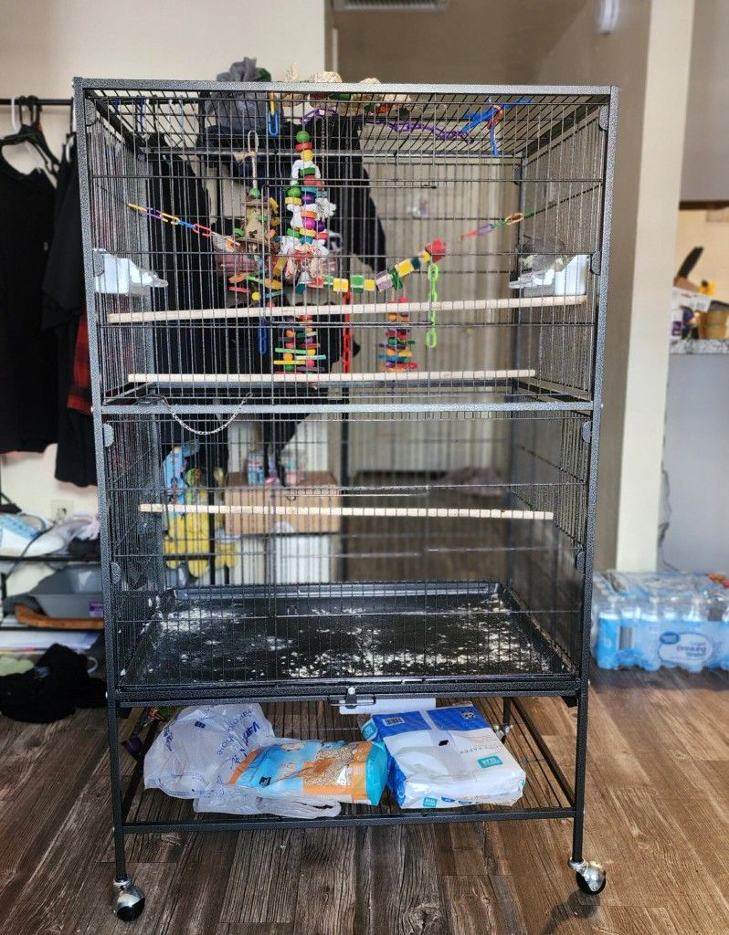 Bird Cage