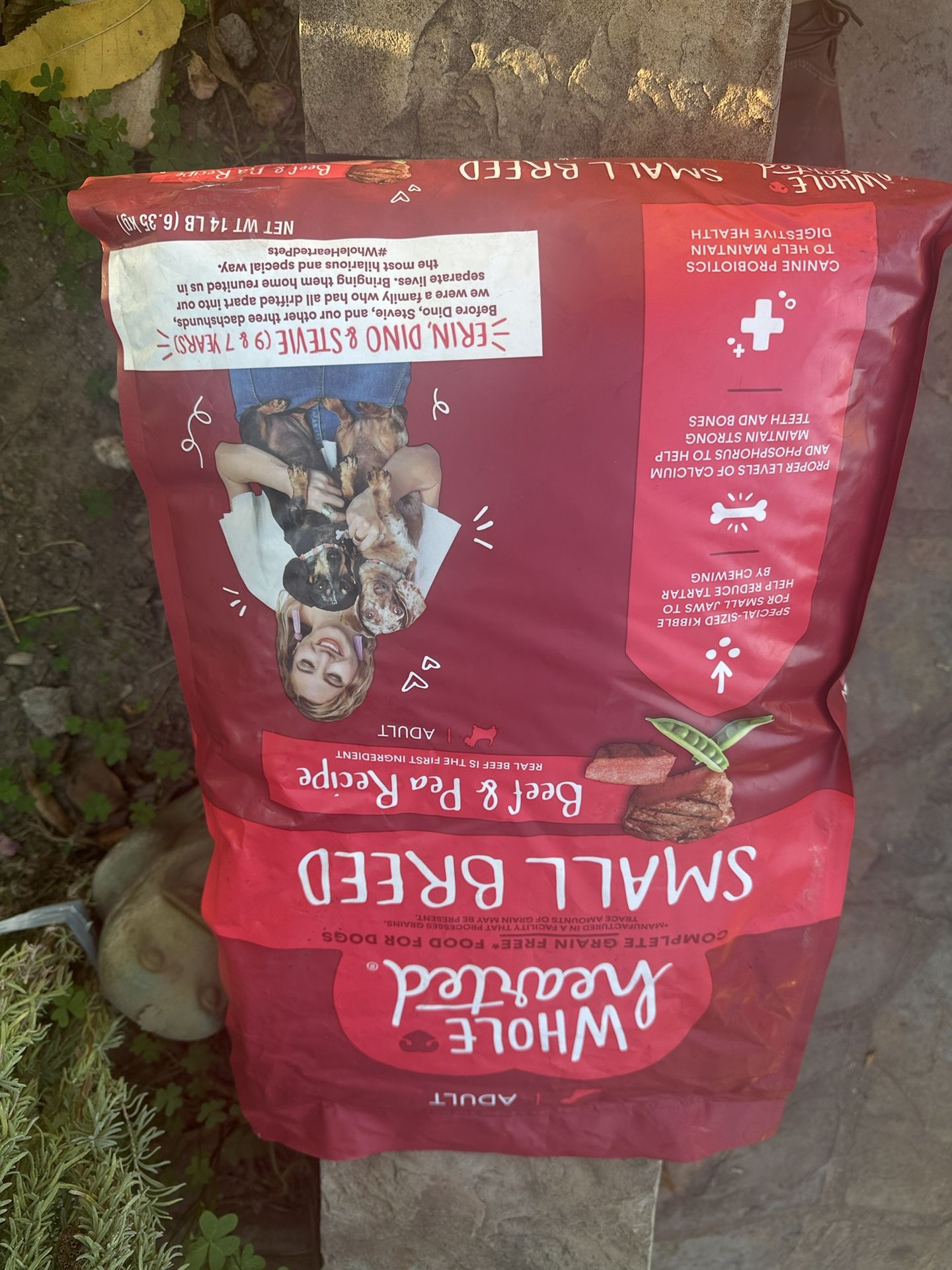 Whole Hearted Dog Food