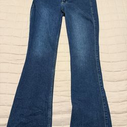 Hollister Jeans Low-rise Boot Dark Blue Size 000s Short