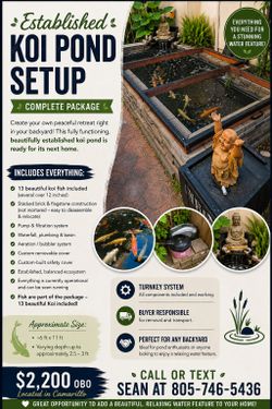 Backyard Water Feature / Pond Setup – Complete Established System – $2,200 OBO