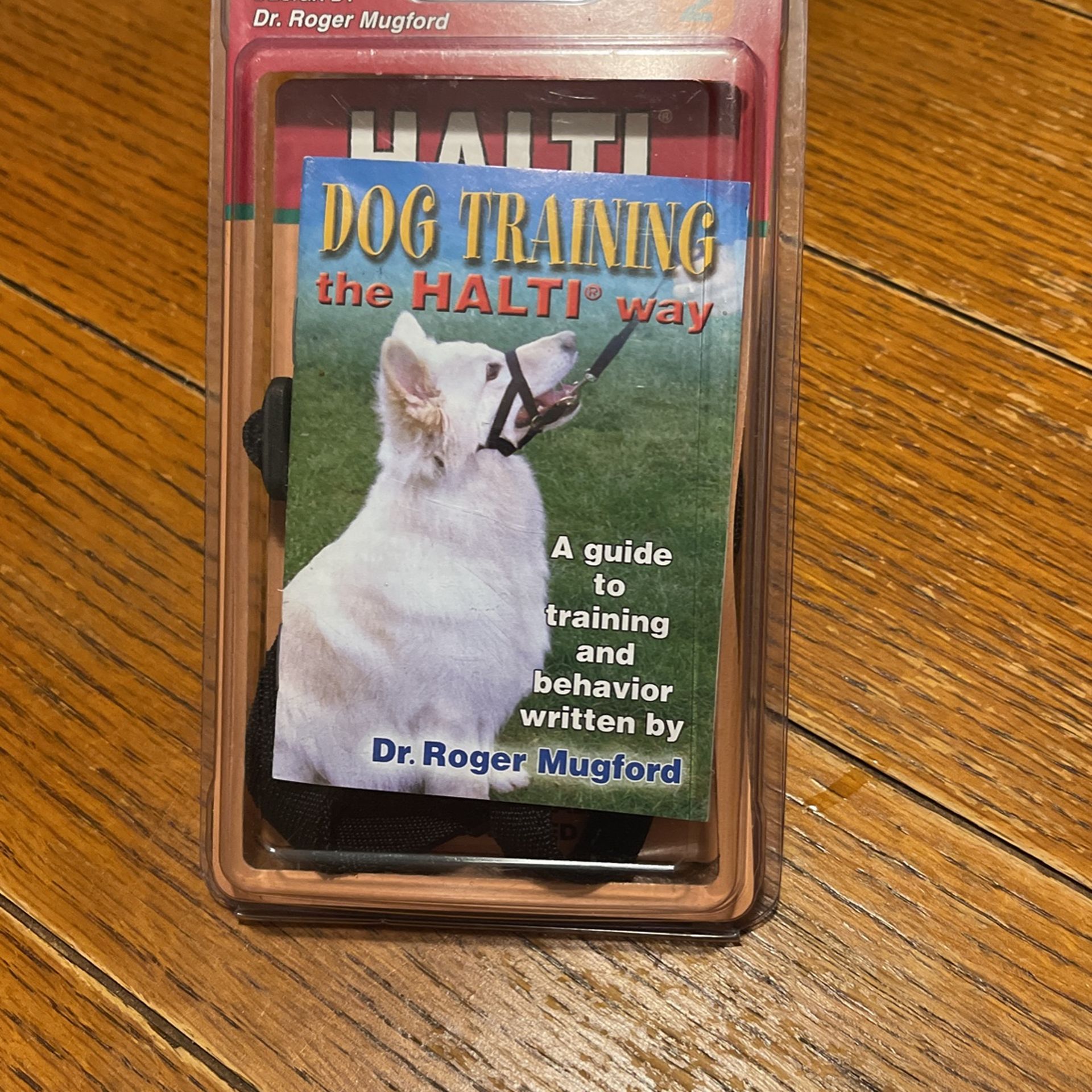 Training Dog