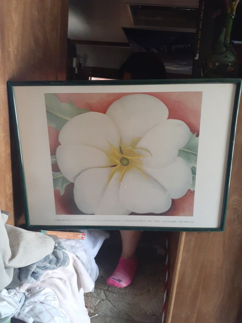 Georgia O'keeffe White Flower Red Earth Print Newark Museum