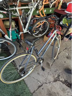 Women’s Hybrid Trek bike