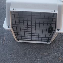 Dog Kennel 