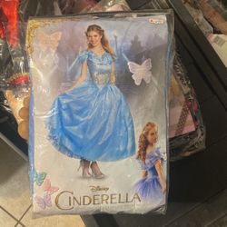 Cinderella Halloween Costume 