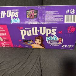 Princess Pull Ups 