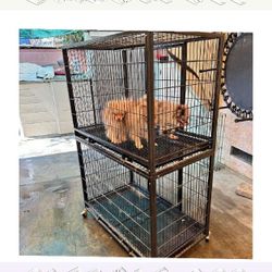 Pet Cages in Various Sizes to Match Every Animal rather within
