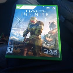 Halo Infinite Perfect Condition