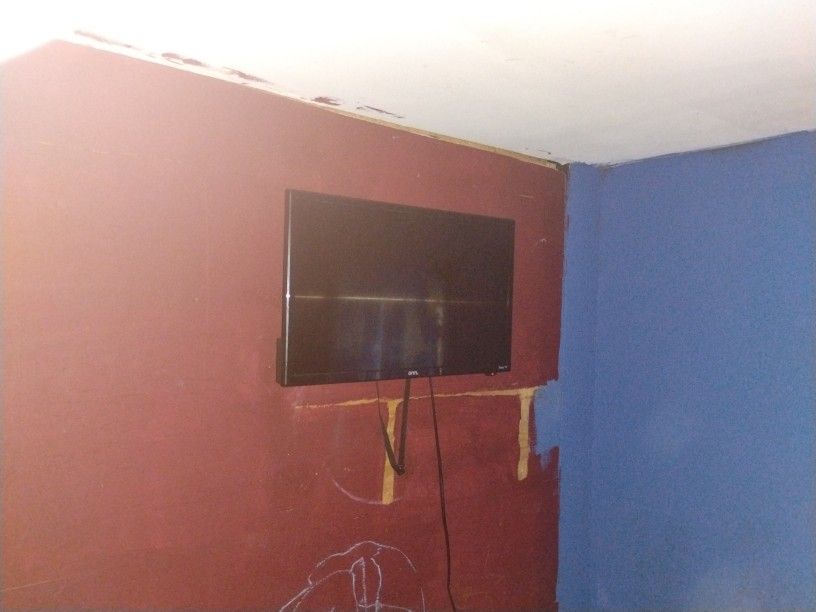 24 Inch Kid TV Roku