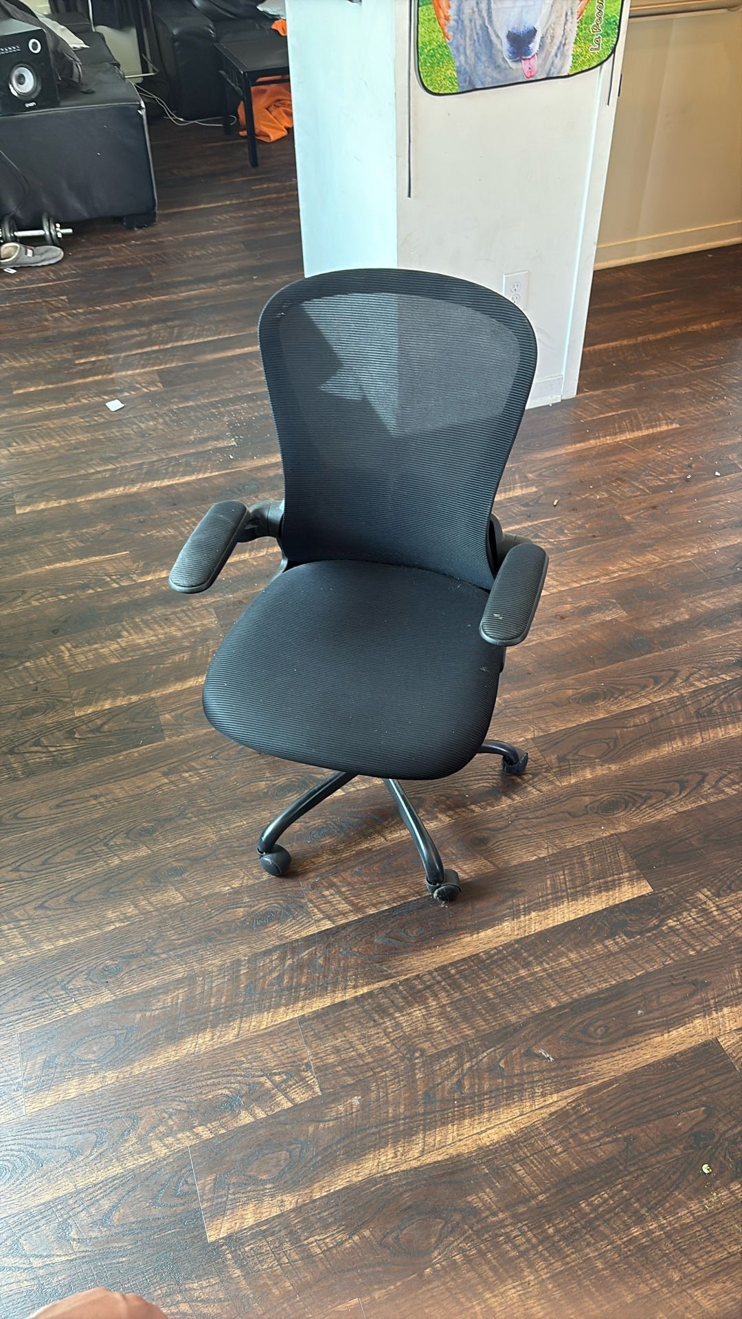 Rolly Chair