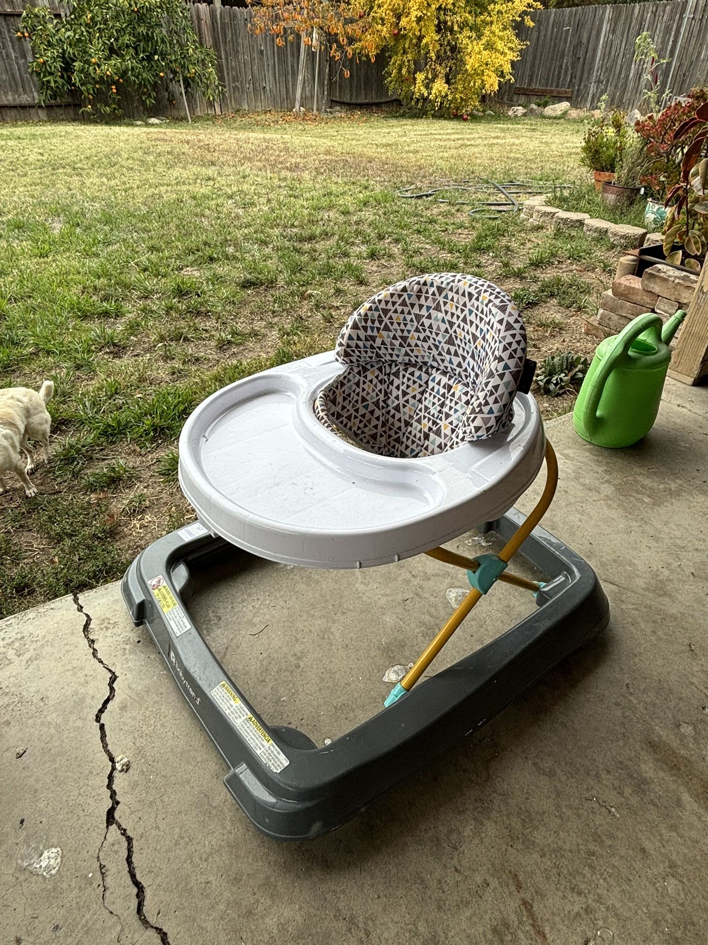 Baby Trend Baby Seat