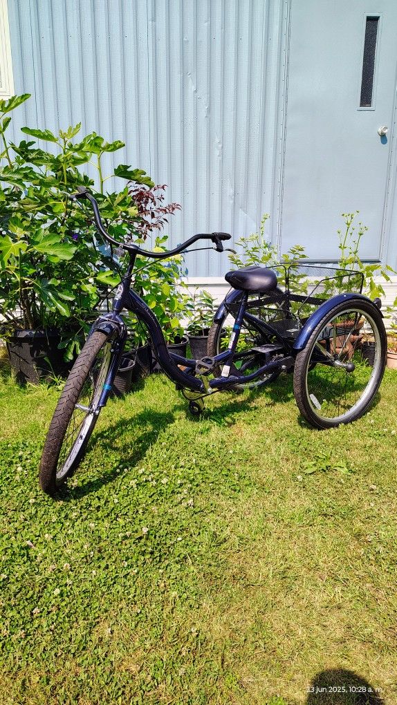 Tricycle Schwinn Quality 26" 