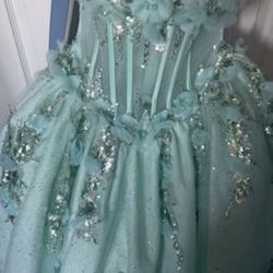 Ball Gown/ Sweet 16/ Prom / Quinceanera Dress