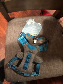 Kurgo dog harness