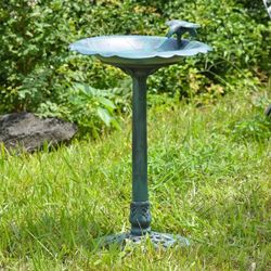 Bird Bath