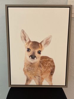 Kids Deer Picture