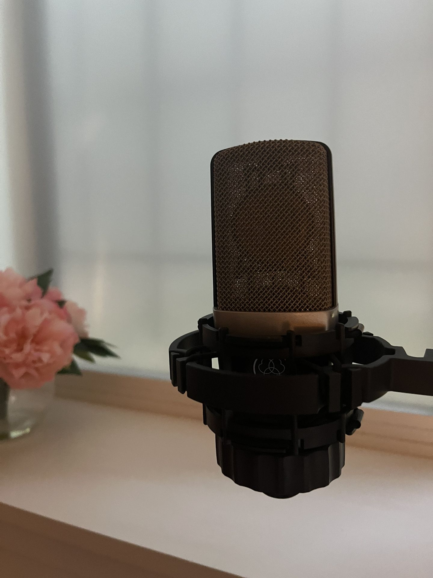 AKG C214 Condenser Microphone