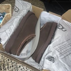  Brown Tasman Ugg Slippers 
