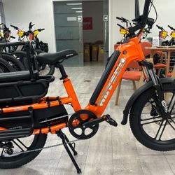 Wholesale Price To Public On Award Winning Cargo Ebike 