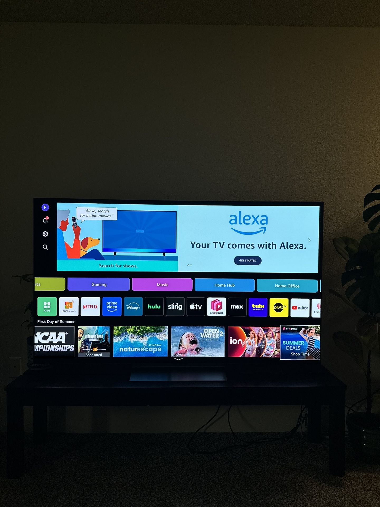 65” LG 4K OLED EVO