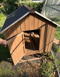 Chicken Coop