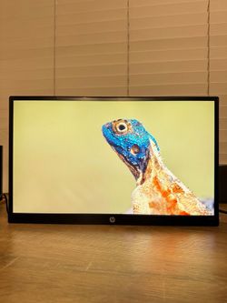 HP 22cw Monitor