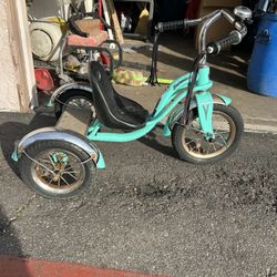 Shcwinn Tricycle Roaster