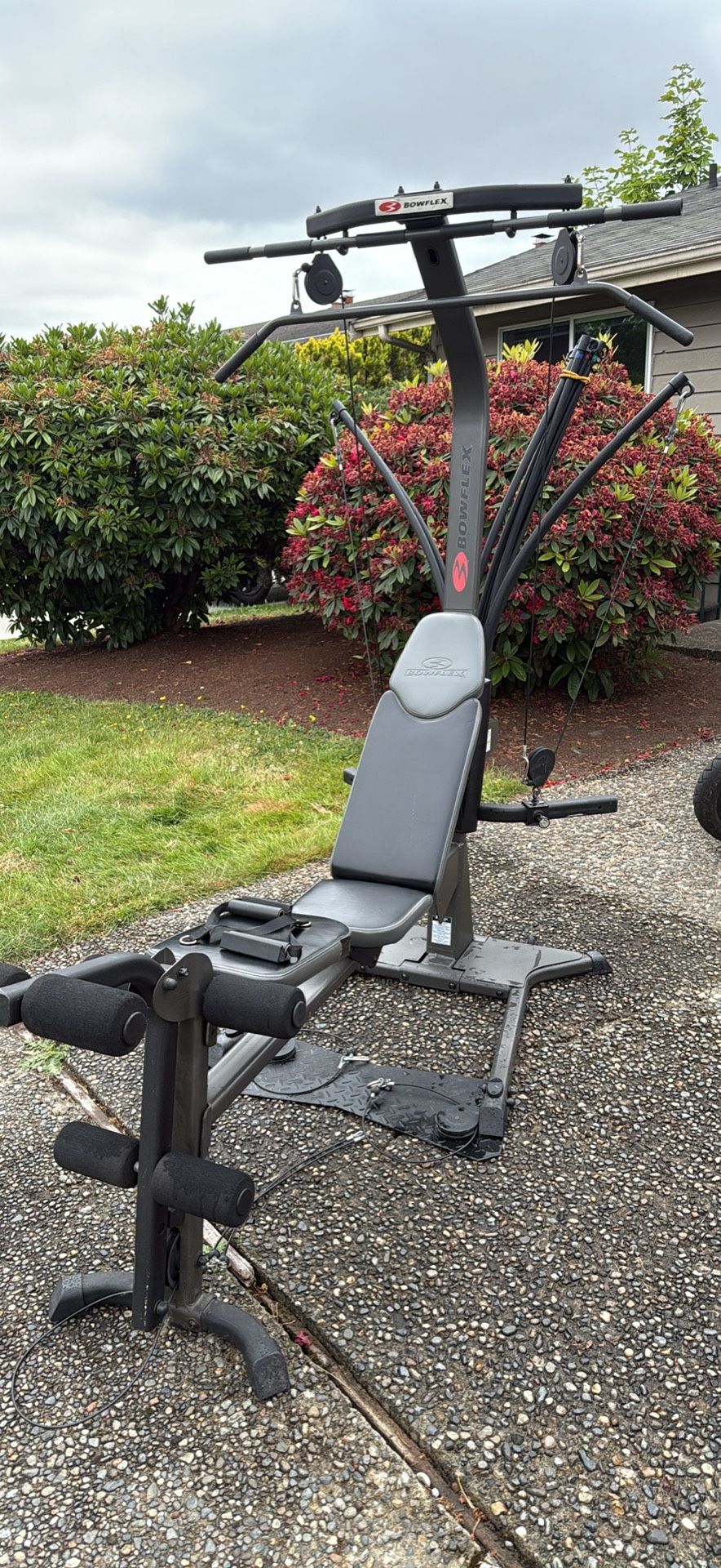 Bowflex Elite Plus