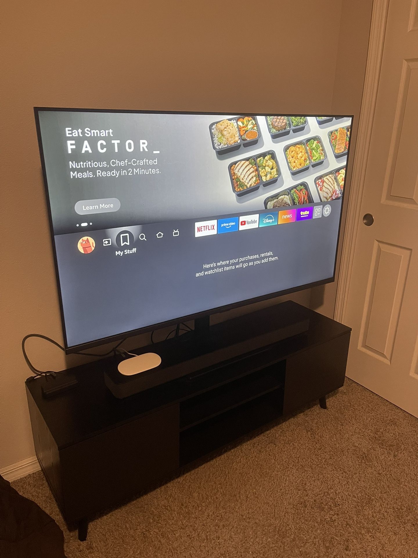 Whole TV Set Up (55 inch)