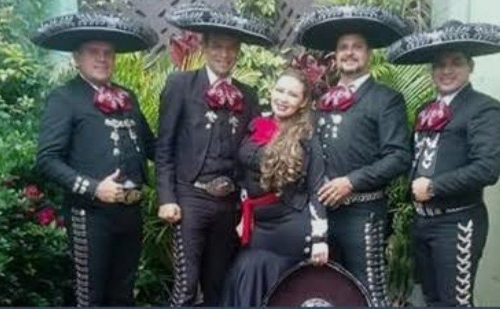 Violin Mariachi