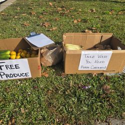 FREE FOOD - CURB ALERT