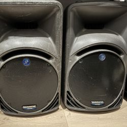 Mackie SRM450 Speakers