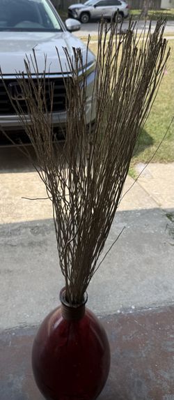 Pot