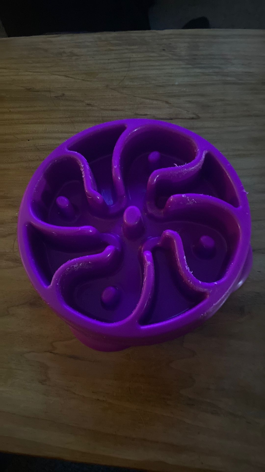Dog Purple Slow Feeder Bowl