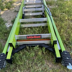 Little giant ladder 