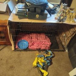 Dog Kennel 