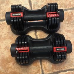 Dumbbells Adjustable Weights 