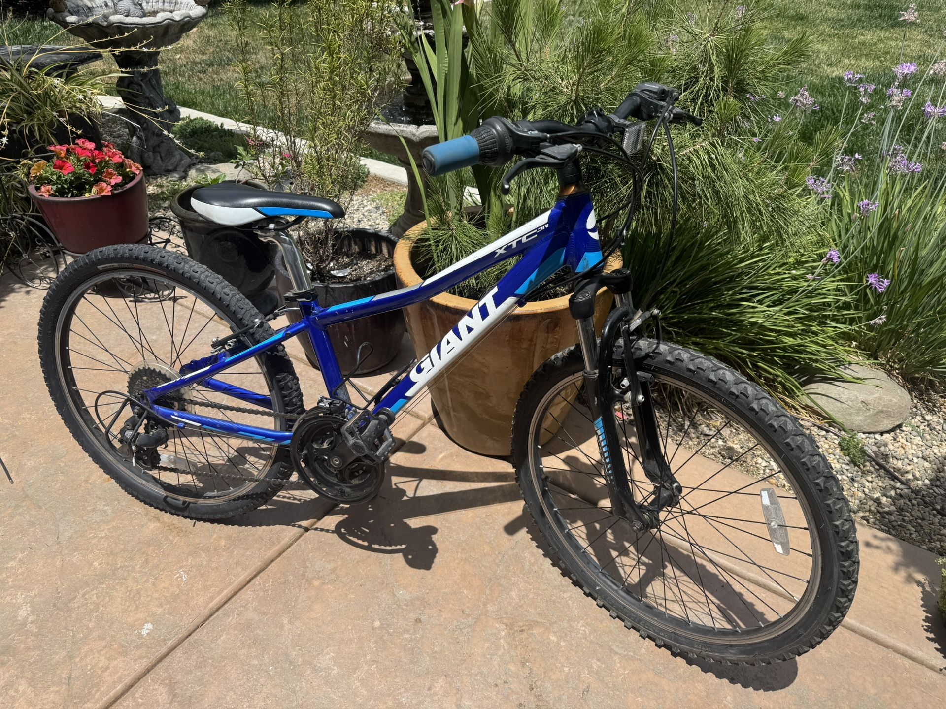 Giant 24 Inch Mountain Bike