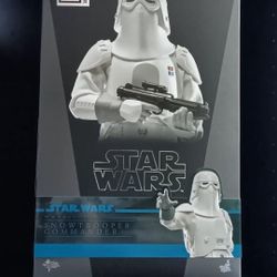 SnowTrooper Commander Hot Toys
