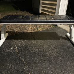 Workout Bench