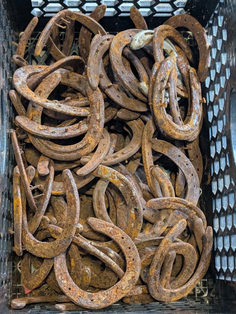 75+ Vintage/Antique Horseshoes