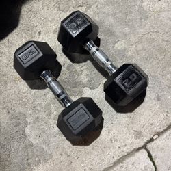 20lb Dumbbell