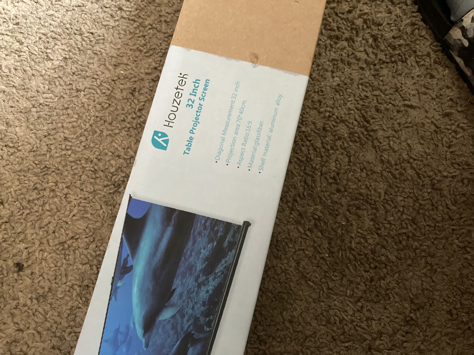 Projector Screen 32