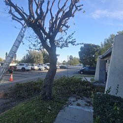 Todo tipo de jardinería