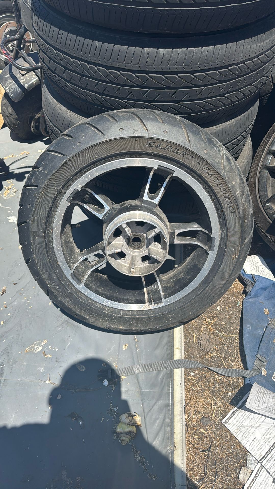 Harley Davidson Rear Tire